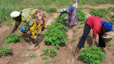 Gender inequalities in agriculture