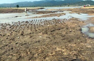 WhatsApp-Image-2022-12-16-at-07.12.367-800×570